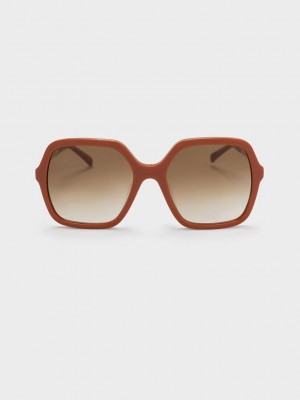 Charles & Keith Acetate Braided Temple Butterfly Sunglasses Clay | EHMF-48657