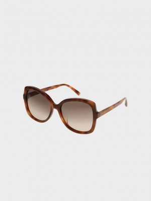 Charles & Keith Acetate Butterfly Sunglasses | XRHJ-81025