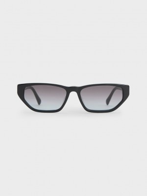 Charles & Keith Acetate Cat-Eye Sunglasses Siyah | RBLS-62148