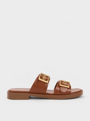 Charles & Keith Buckled Double Askılı Terlik Sandals Kahverengi | WGLD-20369