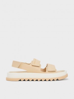 Charles & Keith Buckled Sports Sandals Kahverengi | JWEF-53186