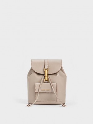 Charles & Keith Cesia Metallic Accent Backpack Gri Kahverengi | VHZF-39104