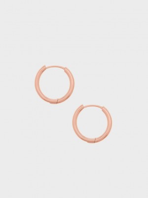Charles & Keith Hoop Earrings Pembe Altın | JCFE-65391