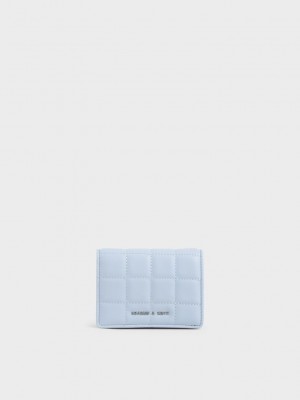 Charles & Keith Kapitone Mini Wallet Açık Mavi | CGUR-26043