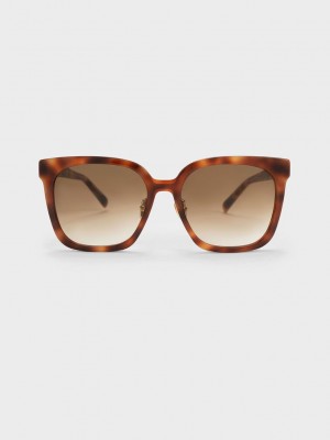 Charles & Keith Open Wire Square Acetate Sunglasses | VCNW-94018