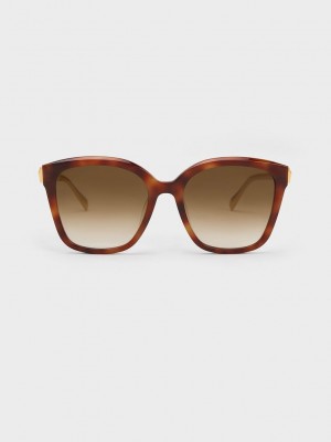 Charles & Keith Oversized Square Acetate Sunglasses | FXRI-68543
