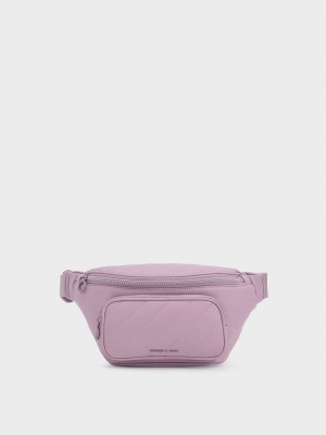 Charles & Keith Panelled Belt Bag Mor | DNYO-38521