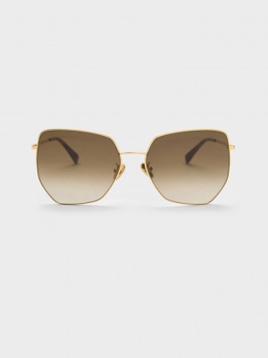 Charles & Keith Recycled Acetate Butterfly Sunglasses Altın | PMLF-81234