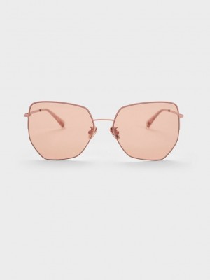 Charles & Keith Recycled Acetate Butterfly Sunglasses Pembe | LKEZ-87240