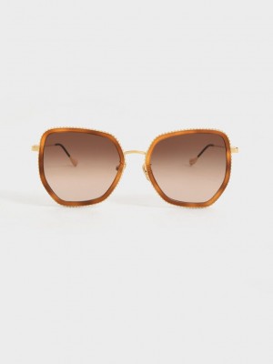 Charles & Keith Recycled Acetate Butterfly Sunglasses | BXFT-69701