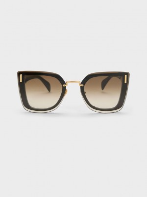 Charles & Keith Recycled Acetate Geometric Butterfly Sunglasses Siyah | XKJY-53914