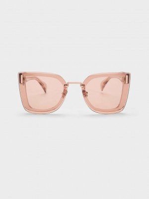 Charles & Keith Recycled Acetate Geometric Butterfly Sunglasses Pembe | SJWB-38025