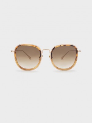Charles & Keith Recycled Acetate Metallic-Rim Sunglasses | KOEI-42705