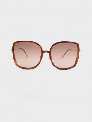 Charles & Keith Recycled Acetate Oversized Square Sunglasses | OXTC-76982