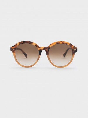 Charles & Keith Recycled Acetate Round Cat-Eye Sunglasses | QRSX-28637