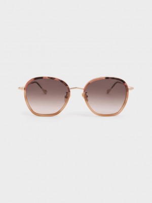 Charles & Keith Recycled Acetate Wire-Frame Sunglasses Pembe | DQLB-97128