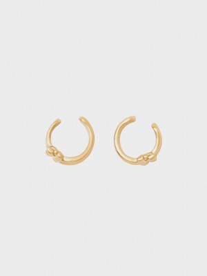 Charles & Keith Sculptural Hoop Earrings Altın | APGQ-27895