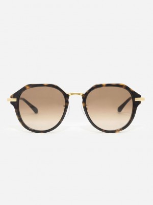 Charles & Keith Solana Angular Oval Sunglasses | NVUL-86057