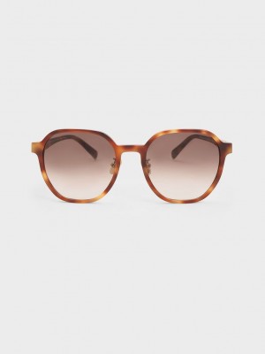 Charles & Keith Square Recycled Acetate Sunglasses | BRYG-64827