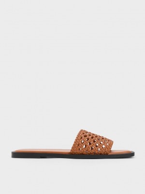 Charles & Keith Woven Square-Burunlu Slides Kahverengi | JGWI-43908